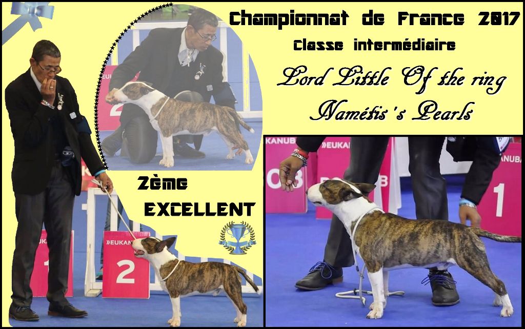Namétis's Pearls - CHAMPIONNAT DE FRANCE 