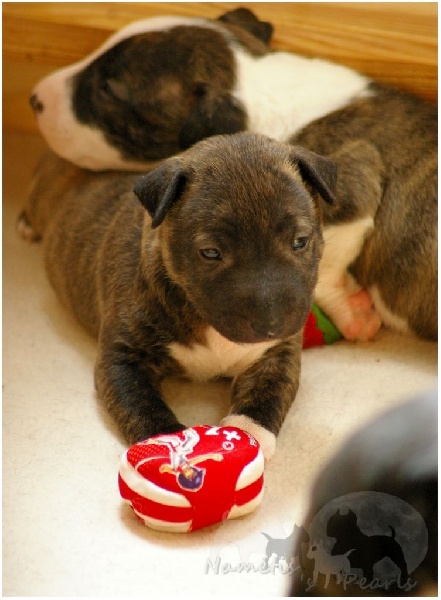 des amours de bébé &#9829;&#9829;&#9829;